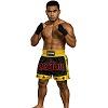 FIGHTERS - Shorts de Muay Thai / Noir-Jaune