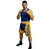 FIGHT-FIT - Short de Boxe Longue / Bosnie-Bosna