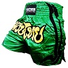 FIGHTERS - Muay Thai Shorts / Grün / Small