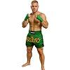 FIGHTERS - Shorts de Muay Thai / Vert